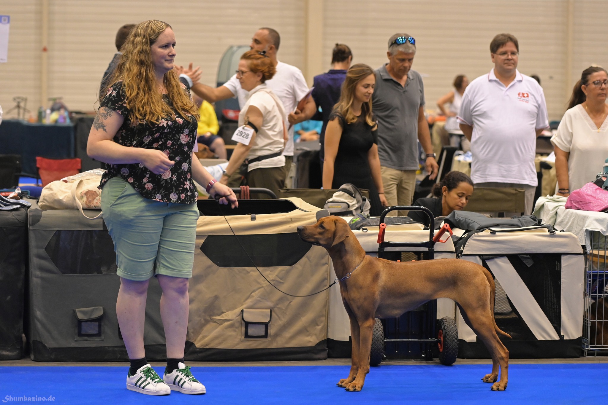 World Dog Show in Genf