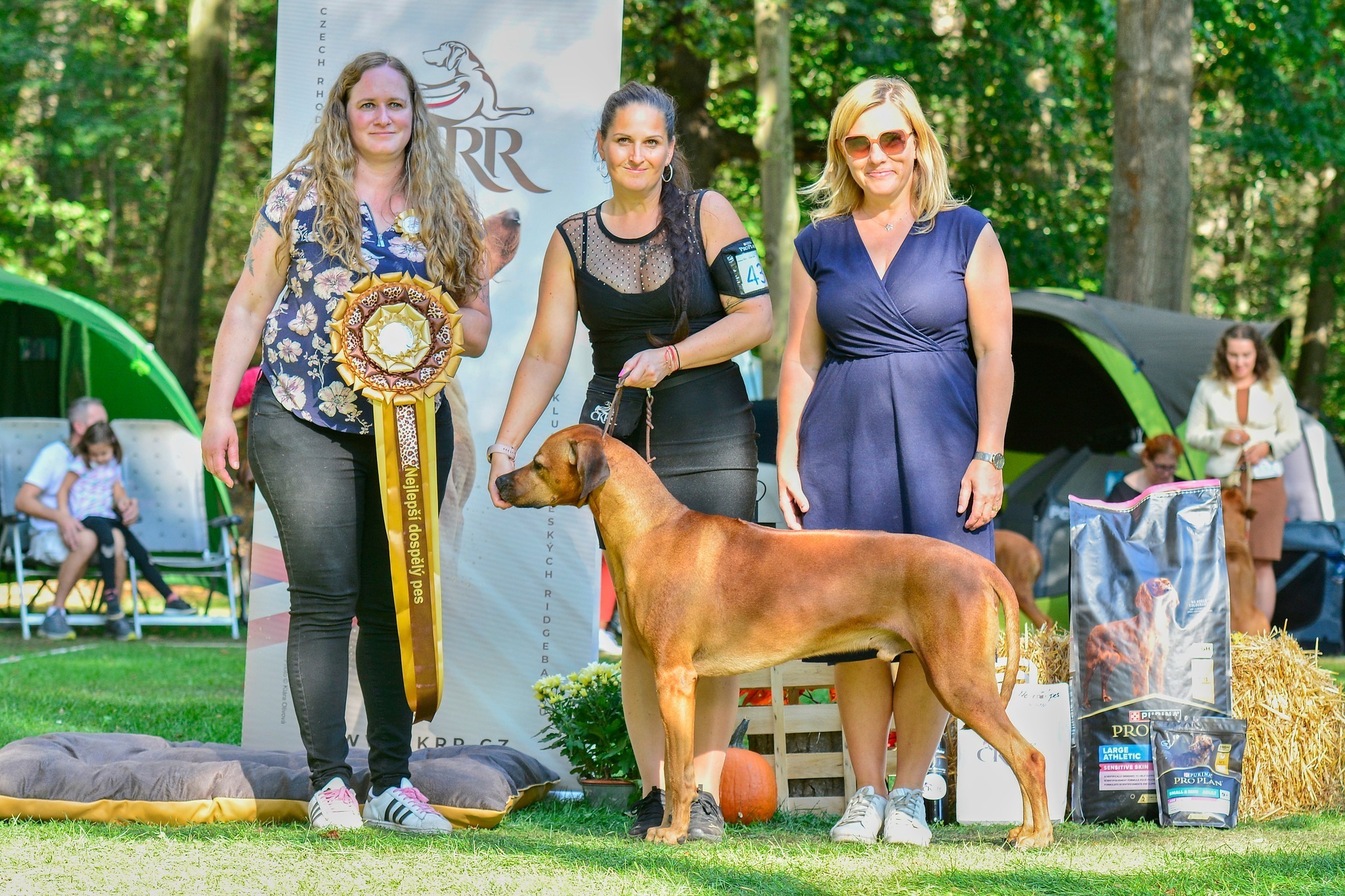 Bester Rüde Cute Win Legend of Africa von Jitka Ludvikova